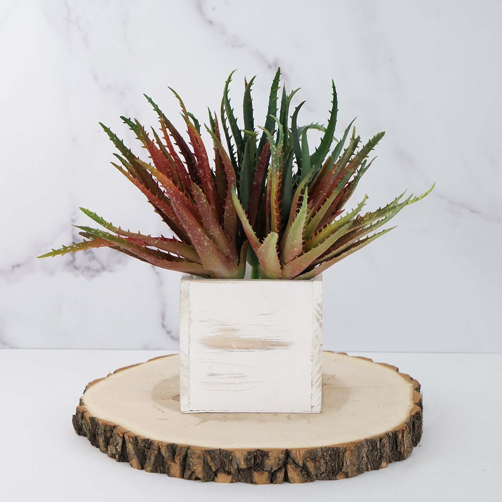 3 Pack 12" Artificial PVC Aloe Cameronii Decorative Succulent Plants - Image 11