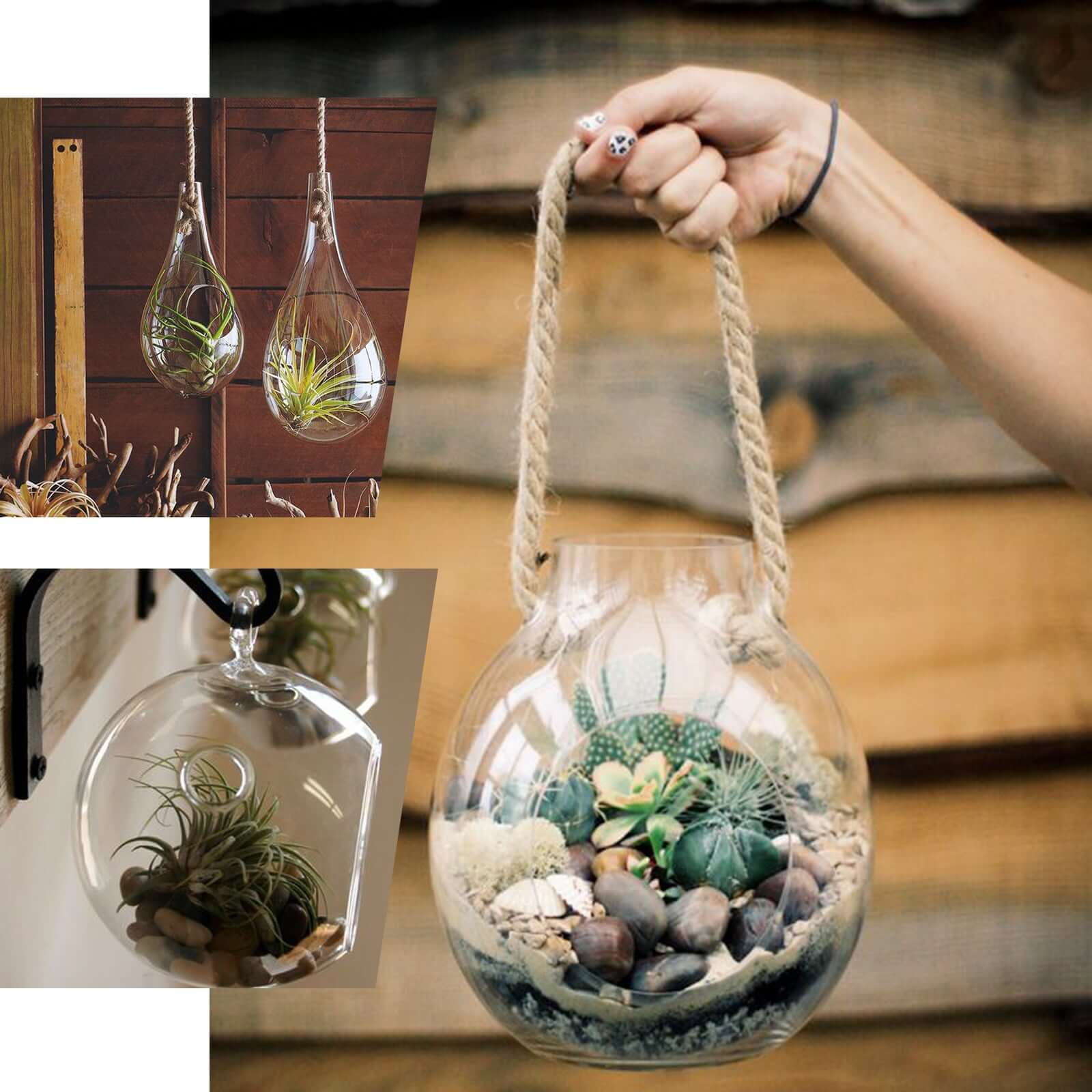 3-Pack Glass Wall Vase Hanging Rhombus Design Indoor Planters - Modern Wall Mounted Terrariums for Living Spaces - Image 6